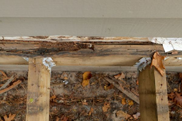Delray Beach Wood Rot Repair
