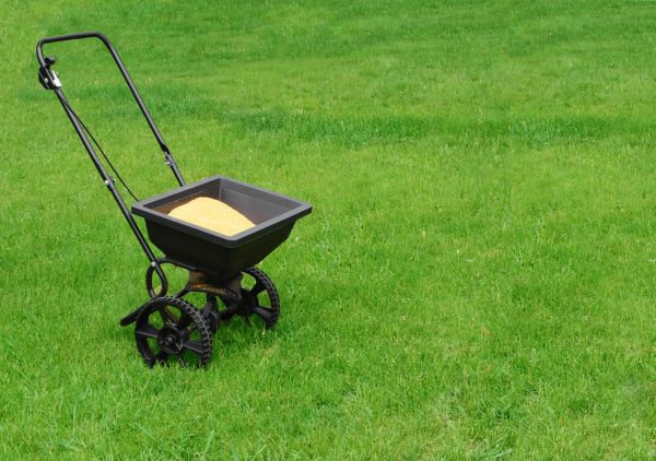 Delray Beach Lawn Treatment