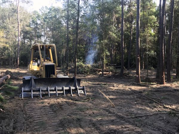 Delray Beach Land Clearing